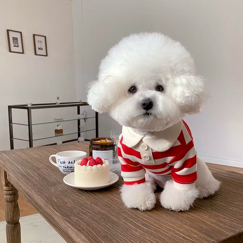 Classic Summer Polo Shirt for Dogs