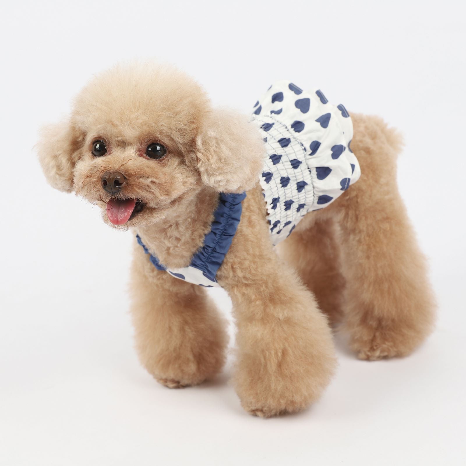 Love Blue and Red Sling Pet Clothes