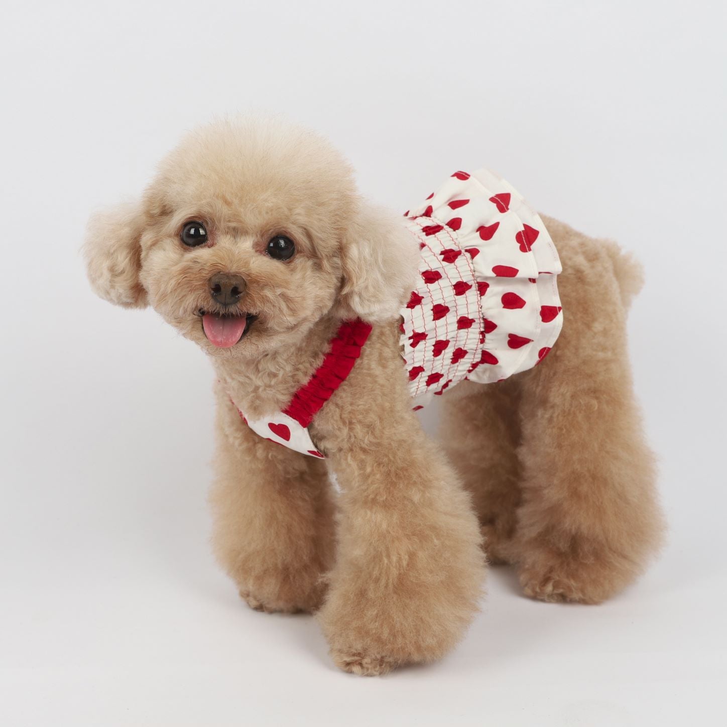 Love Blue and Red Sling Pet Clothes